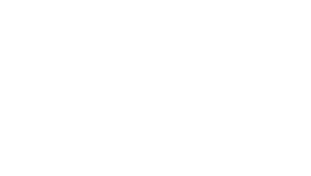 Himalayan 450